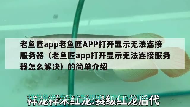 老魚匠app老魚匠APP打開顯示無法連接服務器（老魚匠app打開顯示無法連接服務器怎么解決）的簡單介紹 老魚匠app老魚匠APP打開顯示無法連接服務器（老魚匠app打開顯示無法連接服務器怎么解決）的簡單介紹 老魚匠