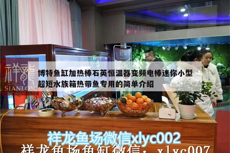 博特魚缸加熱棒石英恒溫器變頻電棒迷你小型超短水族箱熱帶魚專用的簡(jiǎn)單介紹