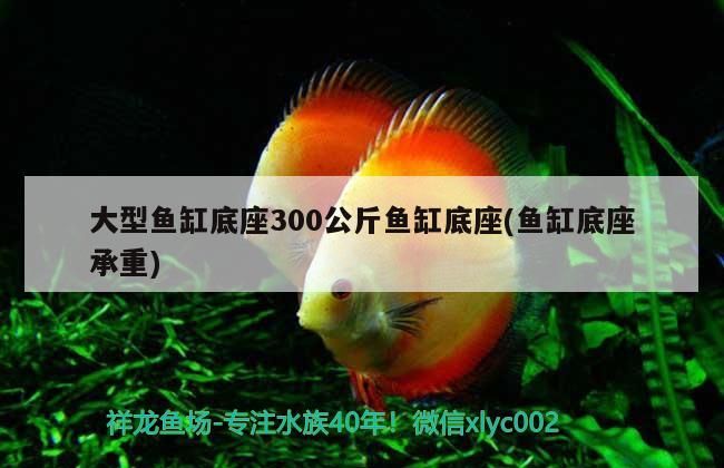 大型魚缸底座300公斤魚缸底座(魚缸底座承重)