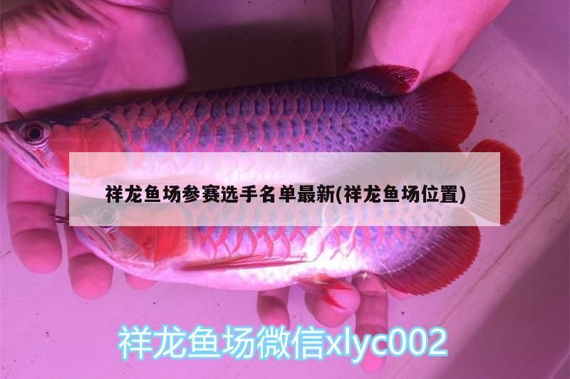 祥龍魚場參賽選手名單最新(祥龍魚場位置)