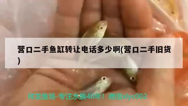 營口二手魚缸轉讓電話多少啊(營口二手舊貨)