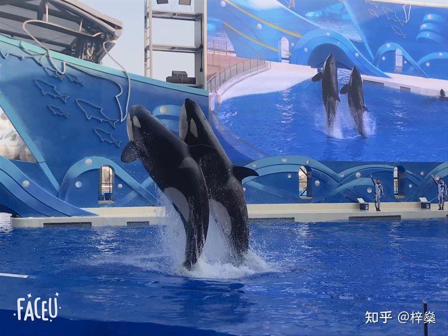 想開個水族館賺錢嗎現在還能開嗎