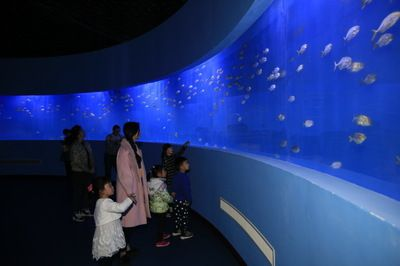 水族館前景（水族館前景分析） 水族館前景（水族館前景分析） 水族館百科（水族館加盟） 第5張