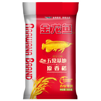 黑魔神雷龍魚苗黑色的咋回事黑魔神雷龍魚苗黑色的咋回事