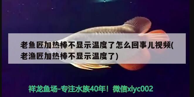 老魚匠加熱棒不顯示溫度了怎么回事兒視頻(老漁匠加熱棒不顯示溫度了)