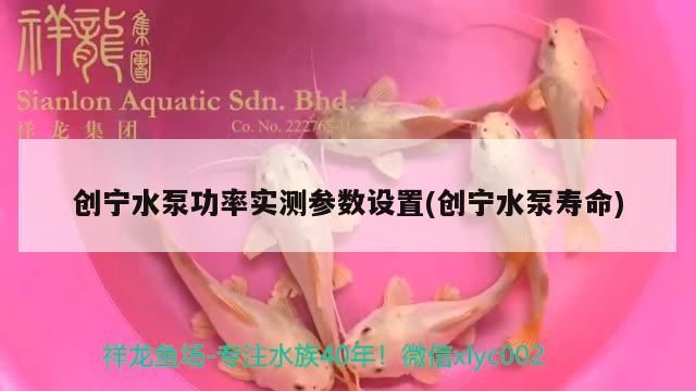 創(chuàng)寧水泵功率實測參數(shù)設(shè)置(創(chuàng)寧水泵壽命)