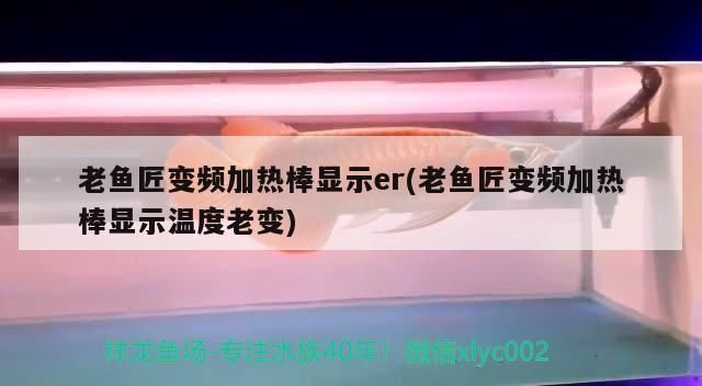 老魚匠變頻加熱棒顯示er(老魚匠變頻加熱棒顯示溫度老變)