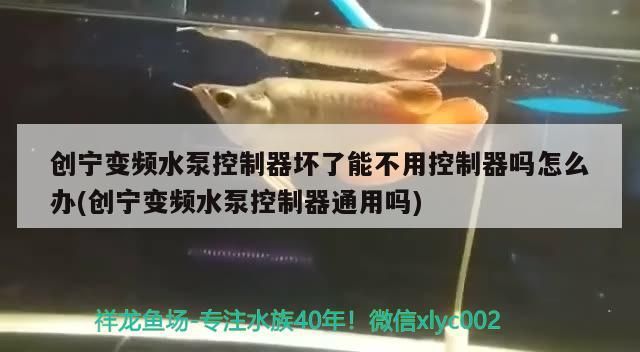 創寧變頻水泵控制器壞了能不用控制器嗎怎么辦(創寧變頻水泵控制器通用嗎)