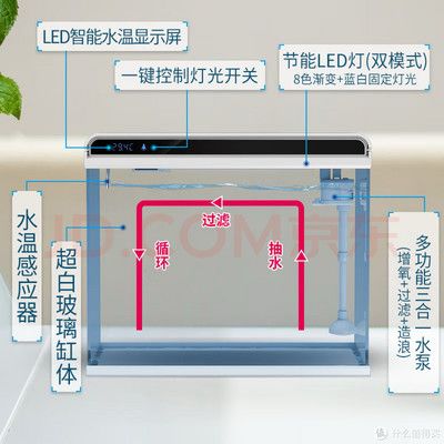 漳州水族器材濾材（漳州水族館一條街地址）