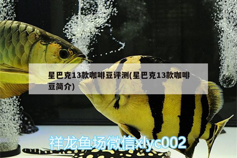 星巴克13款咖啡豆評測(星巴克13款咖啡豆簡介)