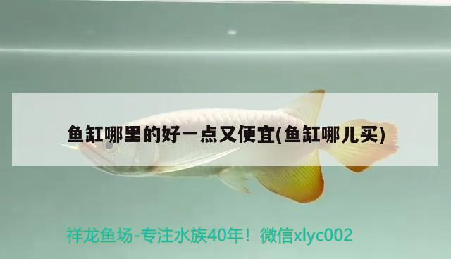 魚缸哪里的好一點又便宜(魚缸哪兒買)