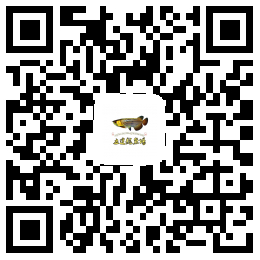 (馬來西亞)立達(dá)龍魚場(chǎng)簡(jiǎn)介 立達(dá)金龍魚 第2張 (馬來西亞)立達(dá)龍魚場(chǎng)簡(jiǎn)介 (馬來西亞)立達(dá)龍魚場(chǎng)簡(jiǎn)介 立達(dá)金龍魚 第2張