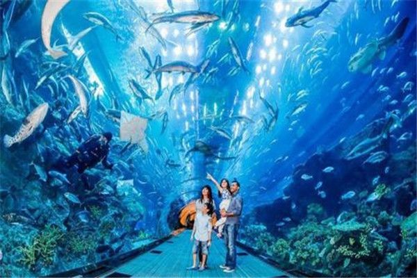 開個水族館多少錢啊：開一個水族館需要多少成本 開個水族館多少錢?。洪_一個水族館需要多少成本 水族館百科（水族館加盟） 第4張