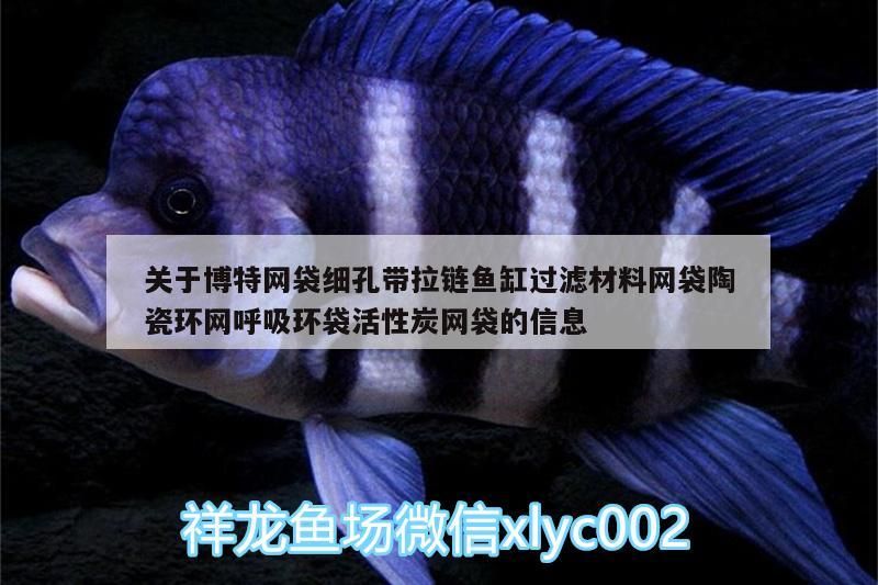 關于博特網袋細孔帶拉鏈魚缸過濾材料網袋陶瓷環網呼吸環袋活性炭網袋的信息