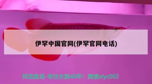 伊罕中國官網(wǎng)(伊罕官網(wǎng)電話)