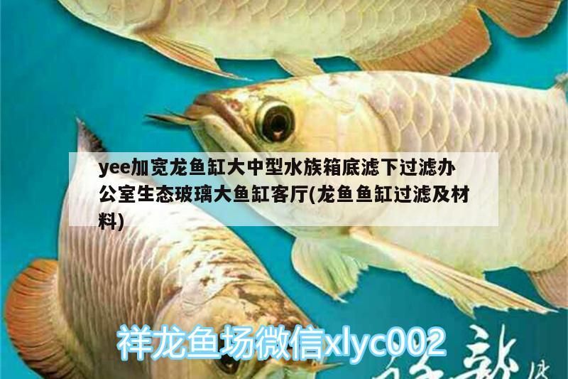 yee加寬龍魚缸大中型水族箱底濾下過濾辦公室生態玻璃大魚缸客廳(龍魚魚缸過濾及材料)