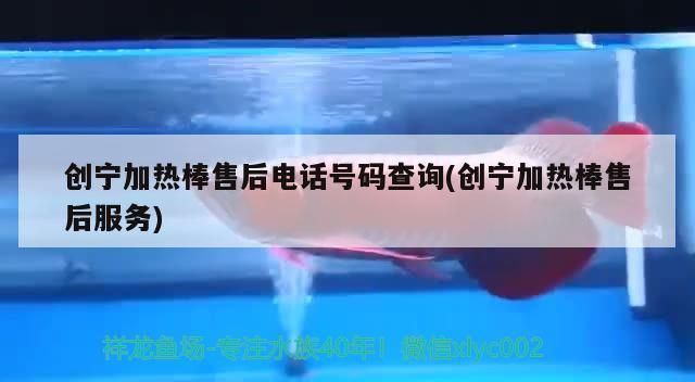 創寧加熱棒售后電話號碼查詢(創寧加熱棒售后服務) 創寧加熱棒售后電話號碼查詢(創寧加熱棒售后服務) 創寧水族