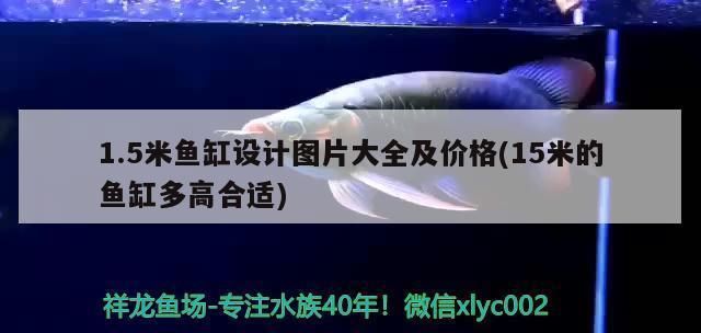 金龍魚苗的最佳繁殖溫度是多少？（金龍魚繁殖期溫控指南） 金龍魚苗的最佳繁殖溫度是多少？（金龍魚繁殖期溫控指南） 龍魚百科 第2張
