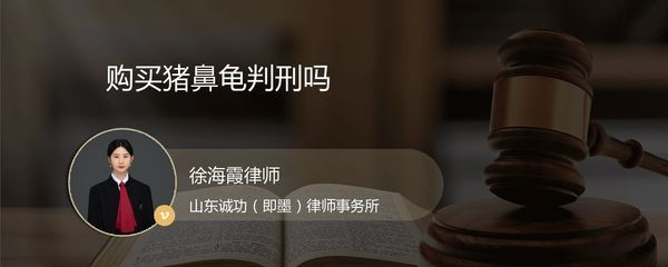 豬鼻龜判刑 豬鼻龜判刑 豬鼻龜百科 第5張