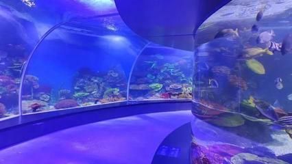 廣州一方水族館怎么樣：廣州一方水族館位于荔灣區柳橋北路西朗觀賞魚博覽中心10號