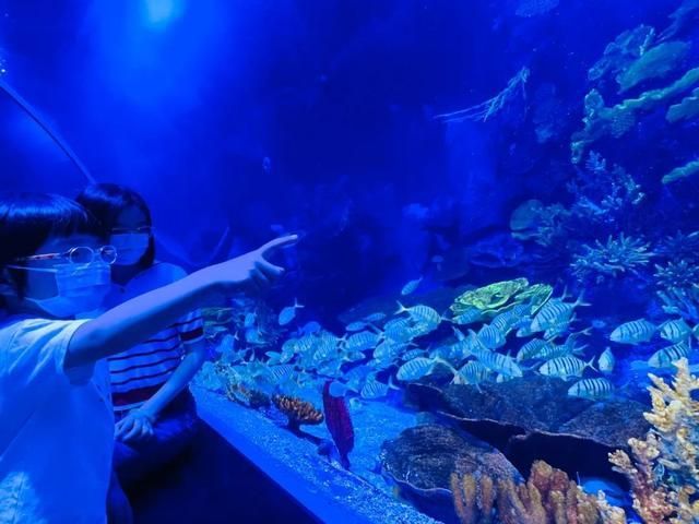 廣州一方水族館怎么樣：廣州一方水族館位于荔灣區柳橋北路西朗觀賞魚博覽中心10號