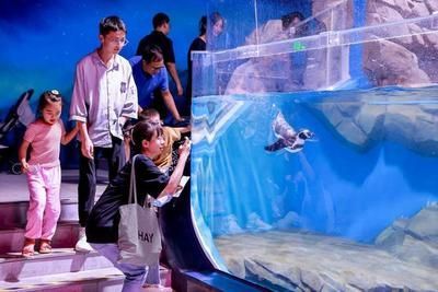 廣州一方水族館怎么樣：廣州一方水族館位于荔灣區柳橋北路西朗觀賞魚博覽中心10號