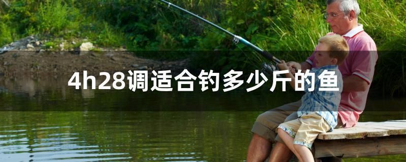 魚缸過濾器進水管要放多高水位 魚缸過濾器進水管要放多高水位的 一方水族 第2張 魚缸過濾器進水管要放多高水位 魚缸過濾器進水管要放多高水位的 魚缸過濾器進水管要放多高水位 魚缸過濾器進水管要放多高水位的 一方水族 第2張