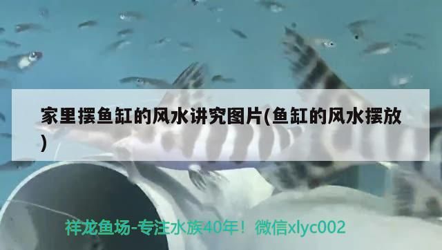 伊罕官網(wǎng)怎么查產(chǎn)品信息（伊思怎么查詢正品）