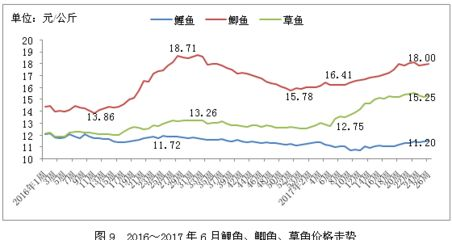 渭南可麗愛魚缸專賣店：探索水族之美，渭南可麗愛魚缸專賣店的專業(yè)與藝術(shù)
