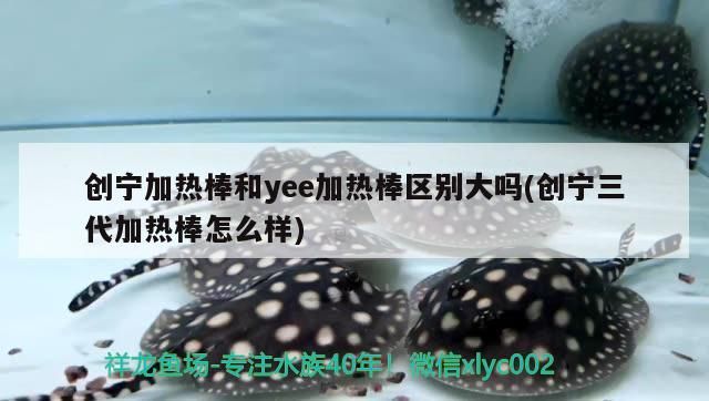 創寧加熱棒和yee加熱棒區別大嗎(創寧三代加熱棒怎么樣) 創寧加熱棒和yee加熱棒區別大嗎(創寧三代加熱棒怎么樣) yee