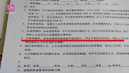 博特寵物診所怎么樣收費：博特寵物診所怎么樣收費博特寵物診所怎么樣收費 博特寵物診所怎么樣收費：博特寵物診所怎么樣收費博特寵物診所怎么樣收費 博特水族 第2張