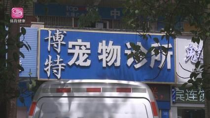 博特寵物診所怎么樣收費：博特寵物診所怎么樣收費博特寵物診所怎么樣收費 博特寵物診所怎么樣收費：博特寵物診所怎么樣收費博特寵物診所怎么樣收費 博特水族 第3張
