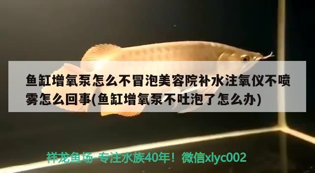 礦泉水做魚缸手工制作（如何自制魚缸增氧器（材料要簡單，像水瓶之）