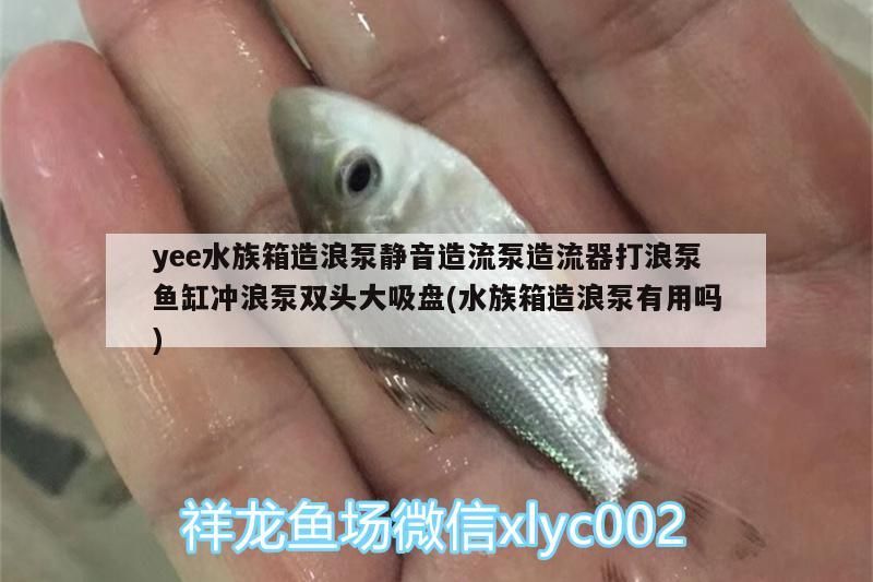 yee水族箱造浪泵靜音造流泵造流器打浪泵魚缸沖浪泵雙頭大吸盤(水族箱造浪泵有用嗎) yee水族箱造浪泵靜音造流泵造流器打浪泵魚缸沖浪泵雙頭大吸盤(水族箱造浪泵有用嗎) yee