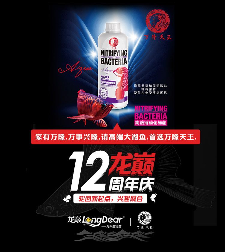 天王紅龍萬隆實業控股旗下品牌漁場位于印尼HuluJongKong面積超過200畝紅龍繁殖池超過1