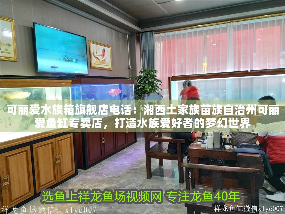 可麗愛水族箱旗艦店電話：湘西土家族苗族自治州可麗愛魚缸專賣店，打造水族愛好者的夢幻世界