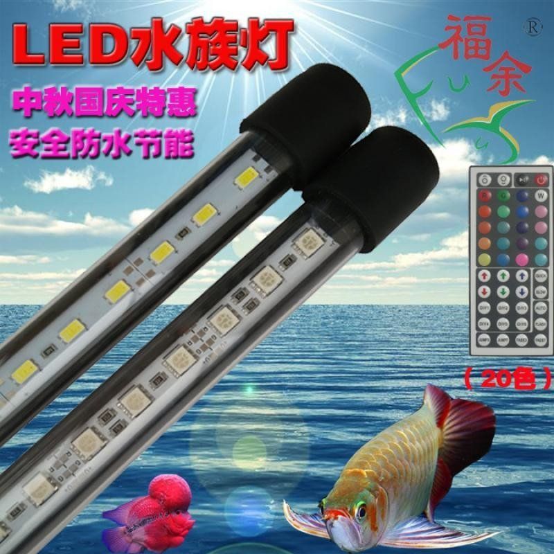 60的魚缸造景需要多少斤青龍石：60的魚缸造景需要多少斤