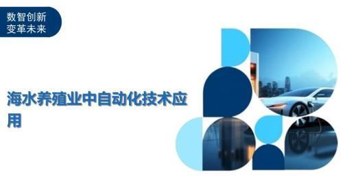 鄭州哪個市場賣龍魚便宜些呢：探尋鄭州龍魚性價比高的市場，便宜好貨哪里尋？