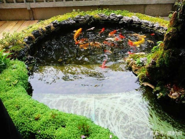 大型魚池過濾系統（大型魚池過濾系統的優點和缺點是魚池過濾系統的優點）