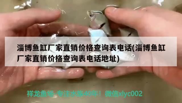 祥龍水族濾材官網(wǎng)價(jià)格查詢(格蘭富5.5kw變頻水泵價(jià)格查詢) 水族館百科(水族館加盟) 第4張 祥龍水族濾材官網(wǎng)價(jià)格查詢(格蘭富5.5kw變頻水泵價(jià)格查詢) 祥龍水族濾材官網(wǎng)價(jià)格查詢(格蘭富5.5kw變頻水泵價(jià)格查詢) 水族館百科(水族館加盟) 第4張