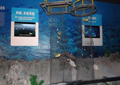 水族館文章：上海海洋水族館