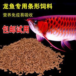 如何選擇高質(zhì)量的魚糧，觀賞魚專用魚糧品牌推薦