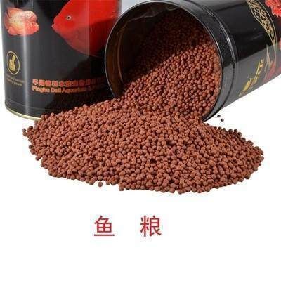 如何選擇高質(zhì)量的魚糧，觀賞魚專用魚糧品牌推薦
