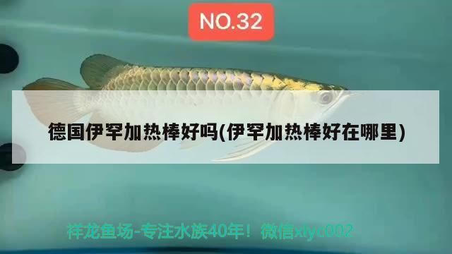 德國伊罕加熱棒好嗎(伊罕加熱棒好在哪里) 德國伊罕加熱棒好嗎(伊罕加熱棒好在哪里) 伊罕水族