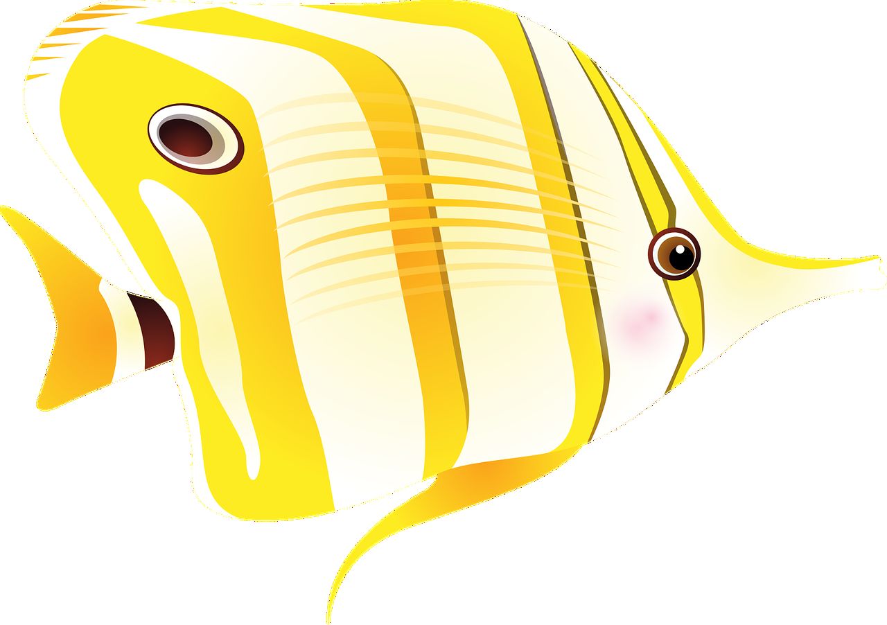 魚缸長時(shí)間不用會(huì)漏水嗎，和魚缸用幾年會(huì)漏水嗎，魚缸長時(shí)間不用會(huì)壞嗎