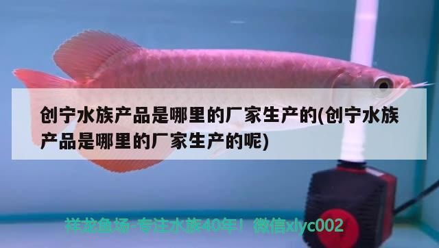創寧水族產品是哪里的廠家生產的(創寧水族產品是哪里的廠家生產的呢) 創寧水族產品是哪里的廠家生產的(創寧水族產品是哪里的廠家生產的呢) 創寧水族