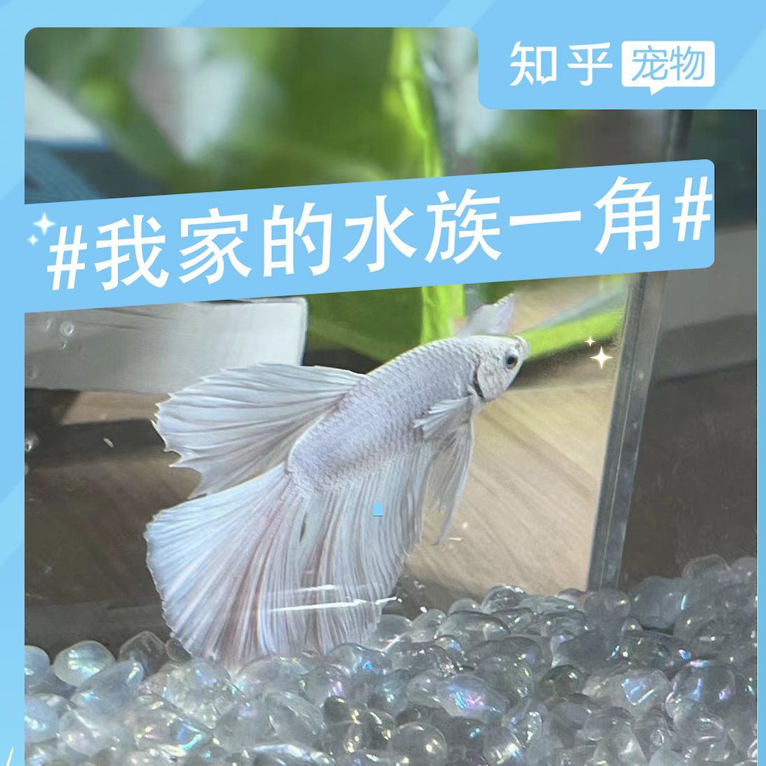一方水族產品質量怎么樣知乎：一方水族產品質量怎么樣