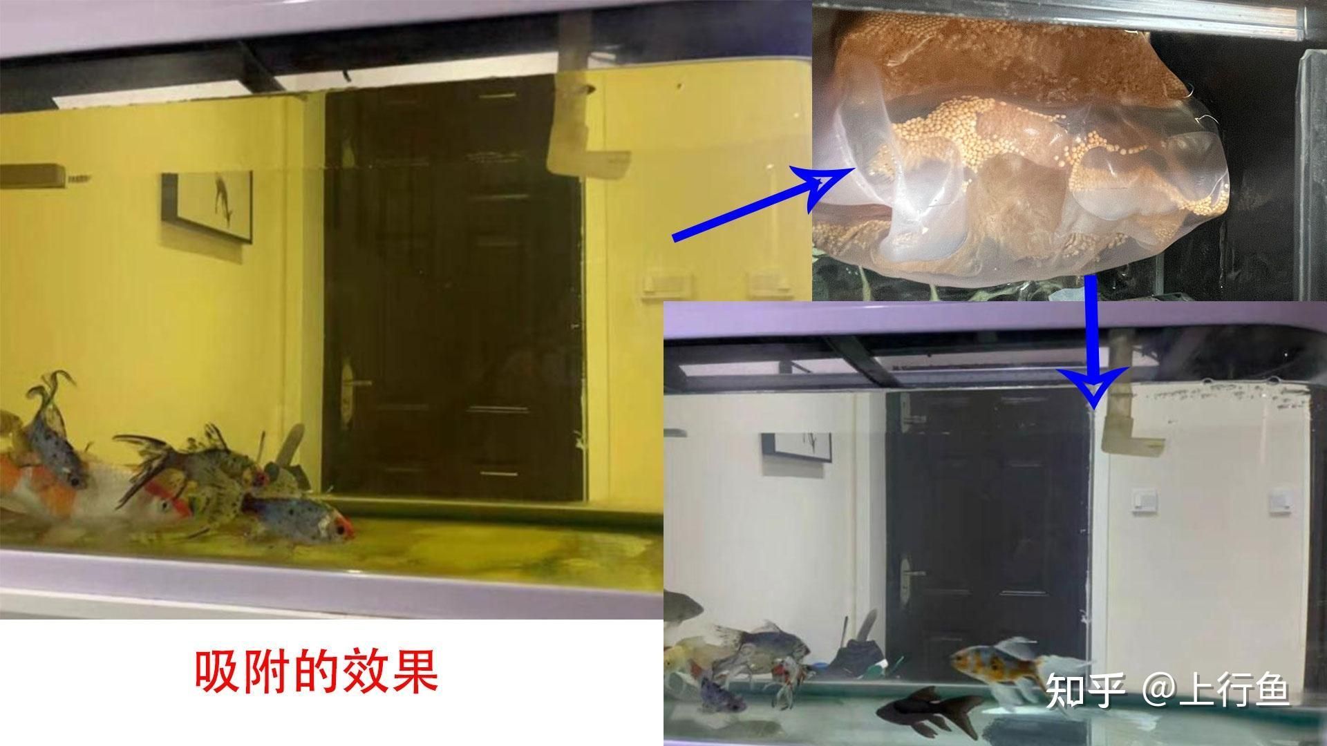 一方水族產品質量怎么樣知乎：一方水族產品質量怎么樣