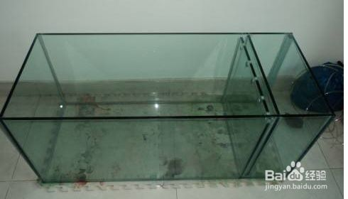 1米長的魚缸可以不用拉筋嗎