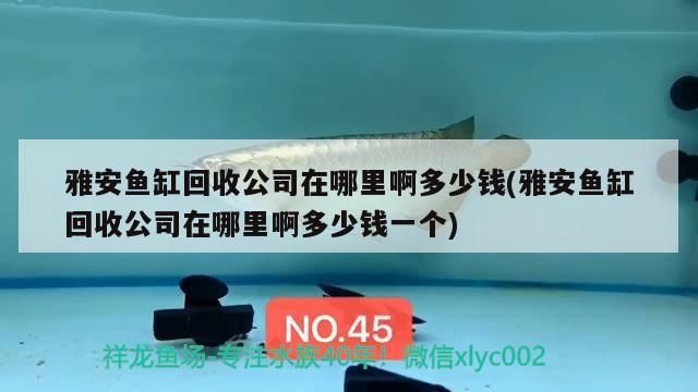 雅安魚缸回收公司在哪里啊多少錢(雅安魚缸回收公司在哪里啊多少錢一個)